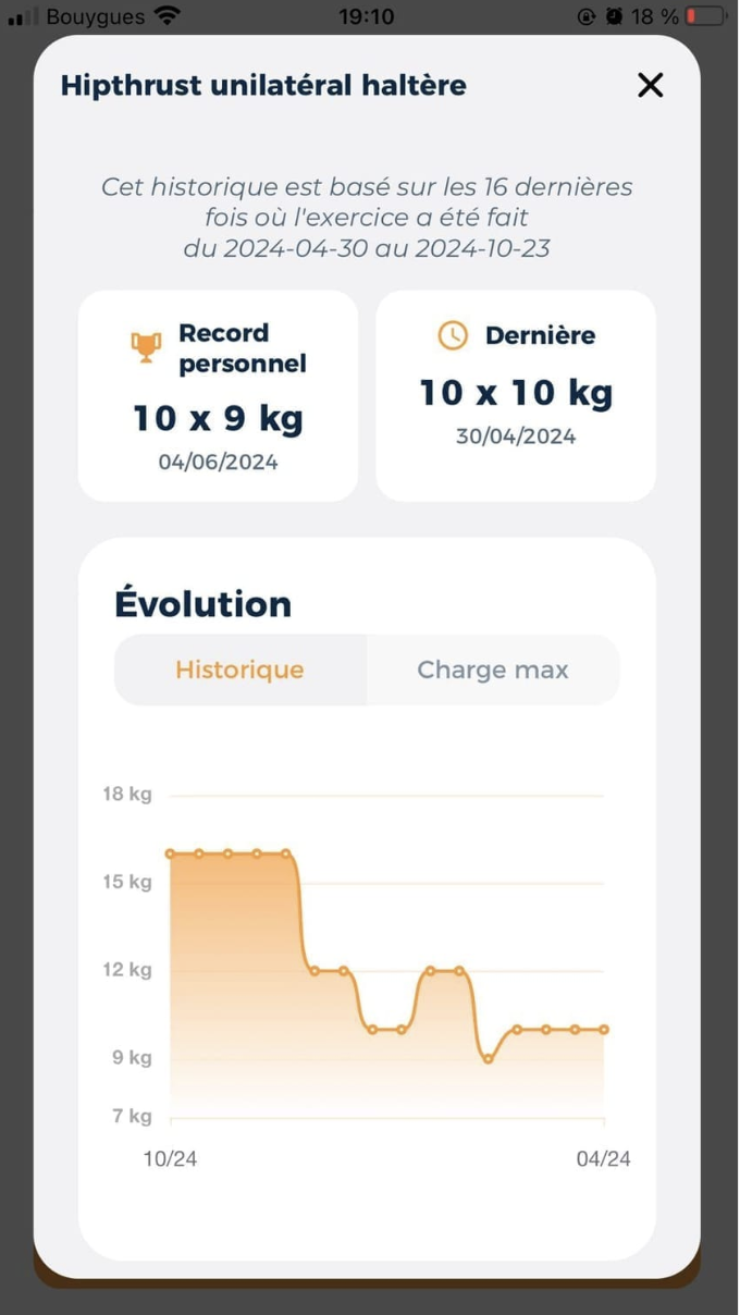 Capture d'écran de l'application : suivi des charges et progression dans le temps